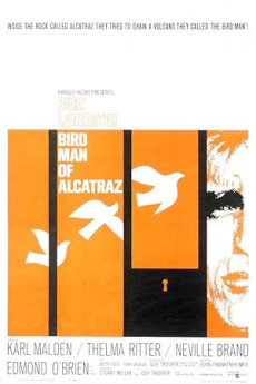 Alkatraz Kuşçusu
